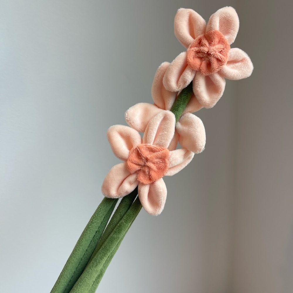 CJ Hendry Flower Shop limited release peach daffodil bloom
